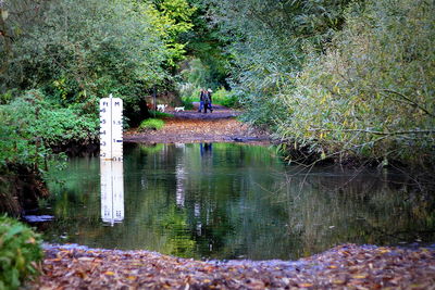 View of pond in park