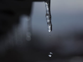 Close-up of water drops on spider web