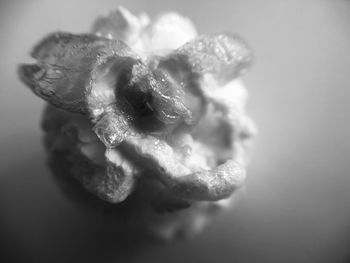 Close-up of white rose on table