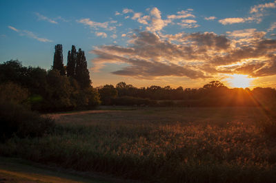 Scenic view of field against sky during sunset