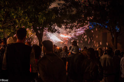 Crowd at music concert