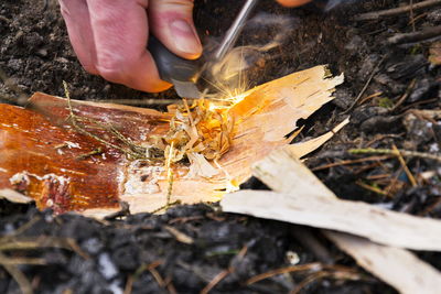 Close-up of hand igniting wood