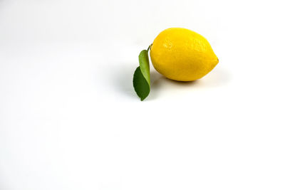 Close-up of lemon slice against white background
