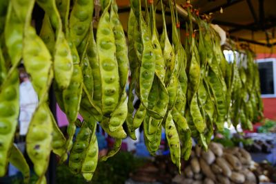 Close-up of fruits for sale at market stall