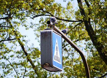 Low angle view of bird perching on a tree