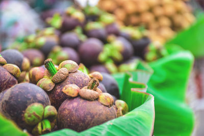 Close-up of fruits