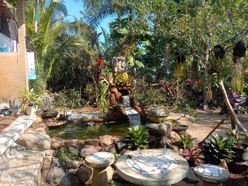 View of fountain in garden