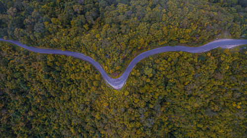 High angle view of road amidst trees in forest