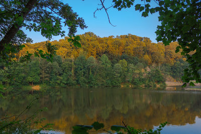 Scenic view of lake in forest during autumn