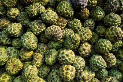 Full frame shot of custard apples for sale at market