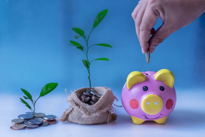 Cropped image of hand putting coin in piggy bank