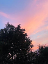 Low angle view of silhouette trees against sky during sunset