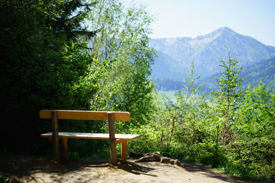 Bench by trees against sky