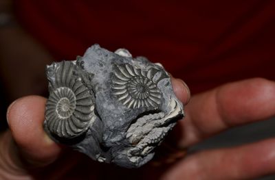 Close-up of person holding hands