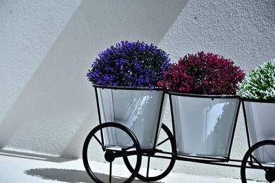 Close-up of potted plant