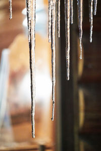 Close-up of icicles hanging from metal