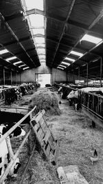 People working in factory