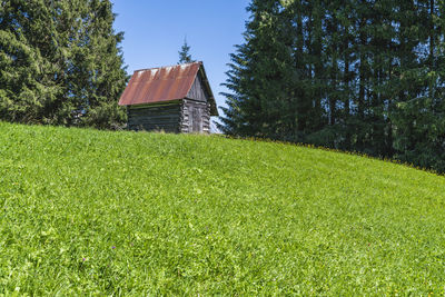 House on field by trees against sky