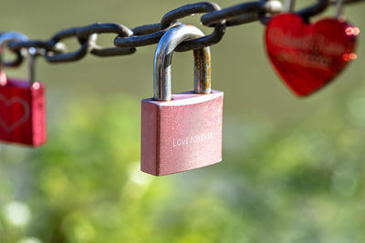 A pink padlock hanging on a chain engraved with the words love forever.