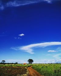 Scenic view of grassy field against cloudy sky