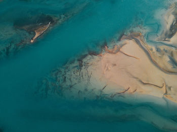 Coastal landscape in patagonia.