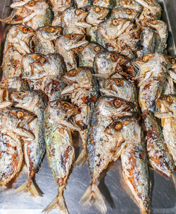 Close-up of fish for sale in market