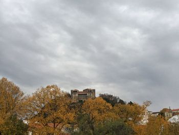 Trees in city against sky