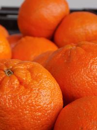Close-up of orange