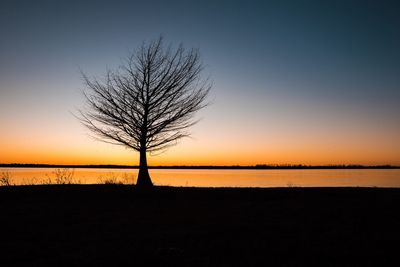 Silhouette bare tree by sea against clear sky during sunset