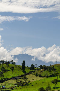 Scenic view of agricultural field against sky