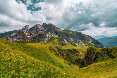 Nature reserve of the ampezzo dolomites, italy.