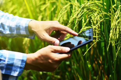 Midsection of man holding mobile phone in field