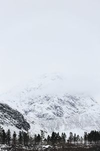 Low angle view of trees against sky