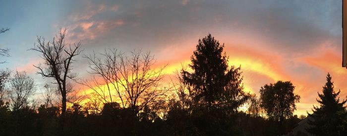 Silhouette trees against sky during sunset