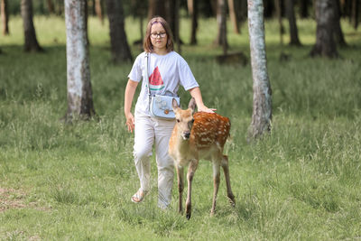 A girl feeding cute spotted deer bambi at petting zoo.