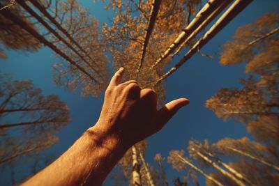 Low angle view of hand against trees