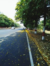 Road amidst trees against sky during autumn