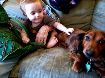 High angle view of girl with dog