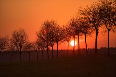 Silhouette trees on field against orange sky