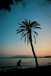 Silhouette palm tree on beach against sky during sunset