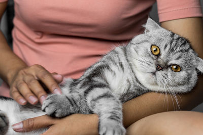 Midsection of person holding cat