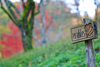 Close-up of information sign against trees