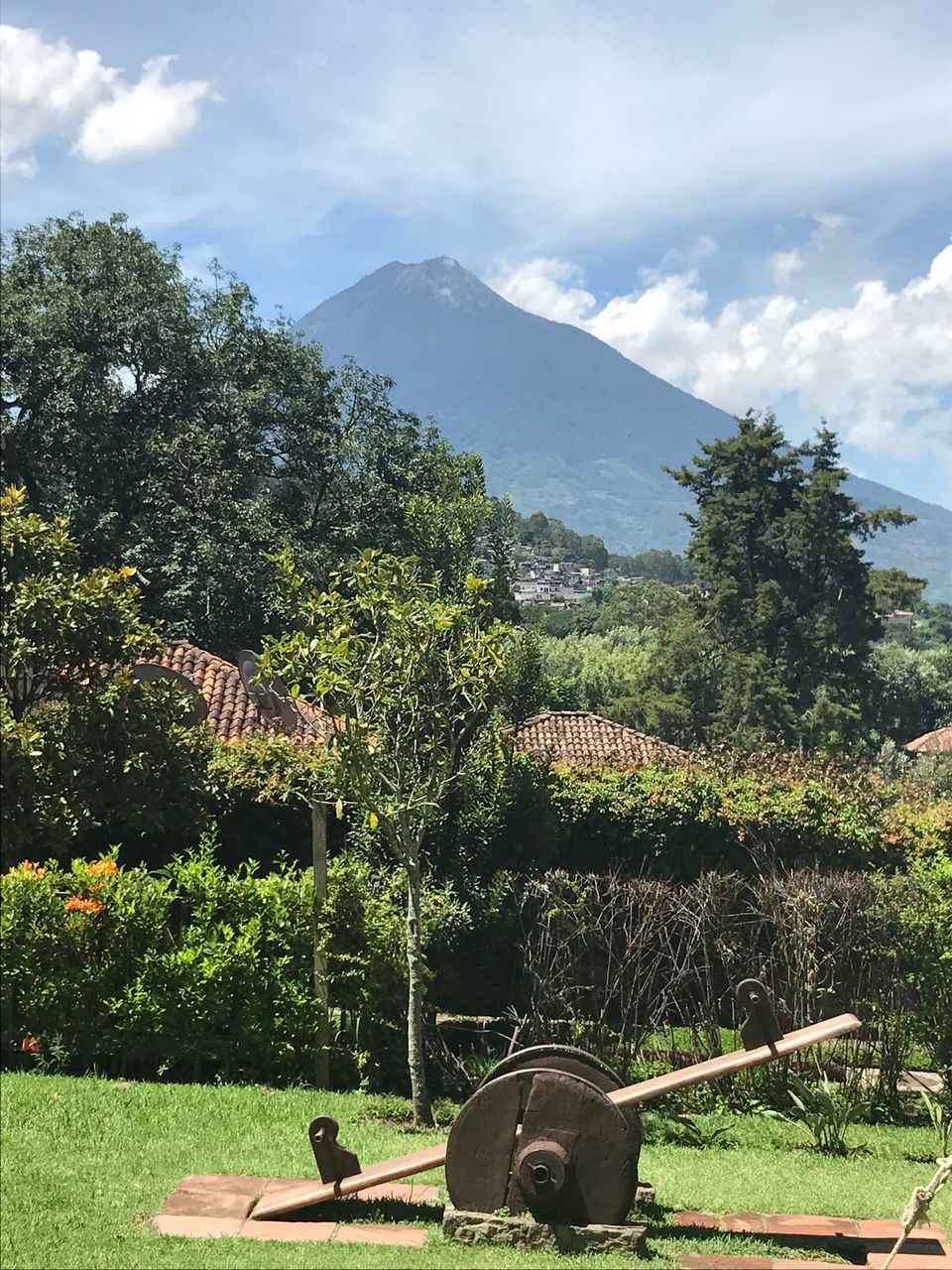 TREES ON FIELD AGAINST MOUNTAINS