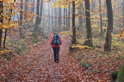 Senior woman hiking in autumn landscape