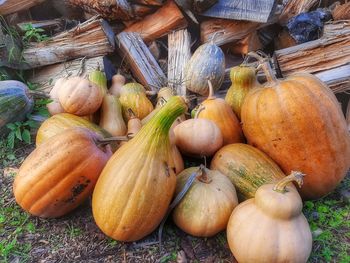 High angle view of pumpkins for sale at market stall