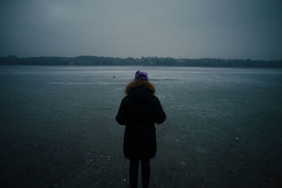 Rear view of person by frozen lake