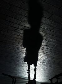 Shadow of man on wall