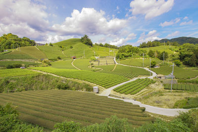 Scenic view of agricultural field against sky