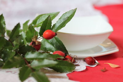Close-up of fruits on table