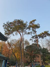 Low angle view of trees and buildings against clear sky